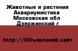 Животные и растения Аквариумистика. Московская обл.,Дзержинский г.